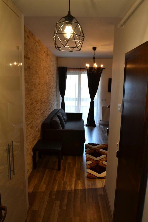 Apartament Golden Rose 1 Busteni Ngoại thất bức ảnh