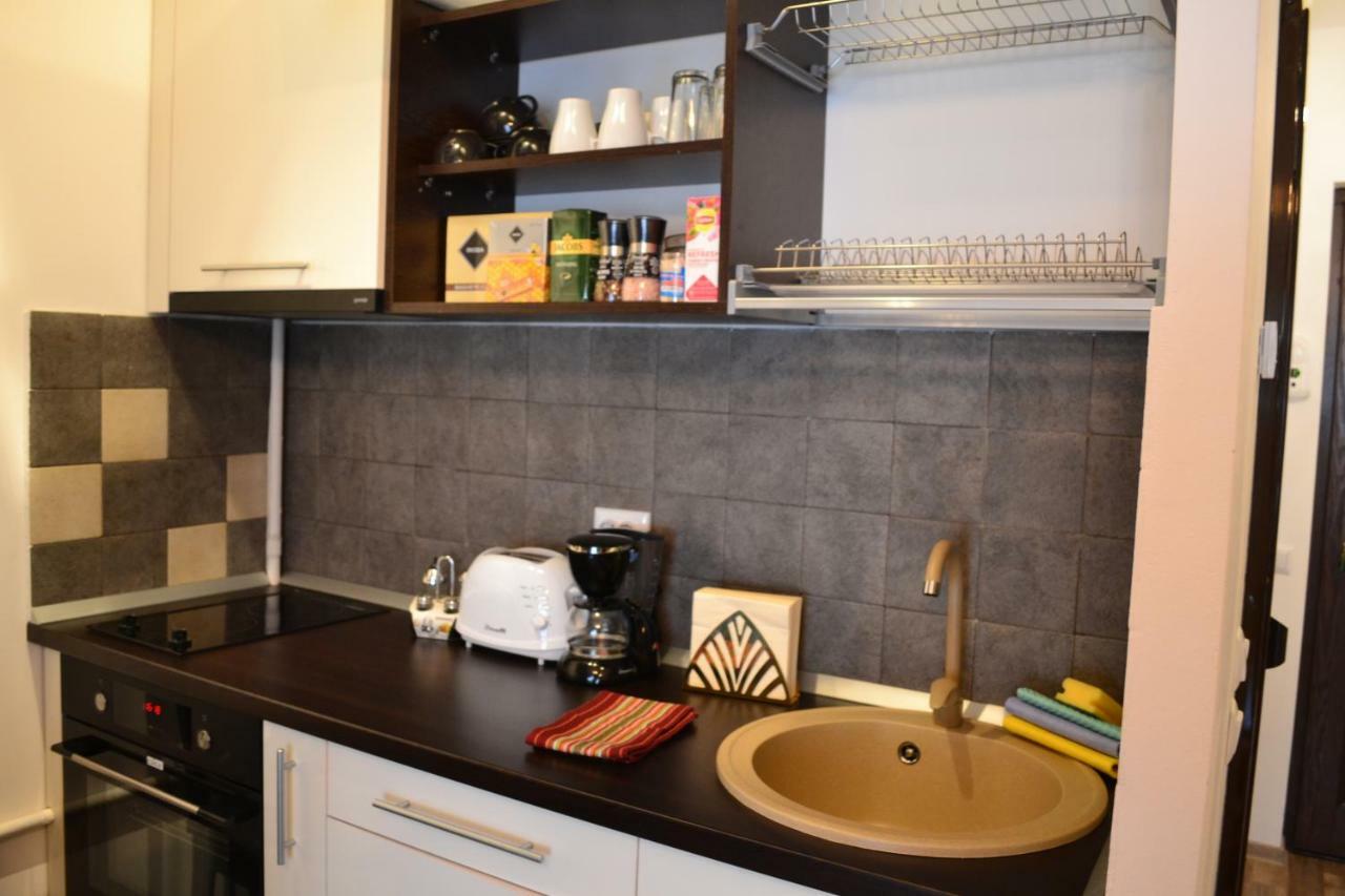 Apartament Golden Rose 1 Busteni Ngoại thất bức ảnh